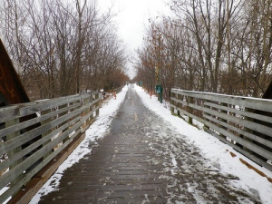 My trail on a wintery day