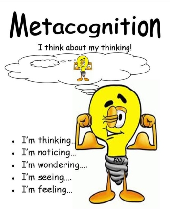 Thinking-Metacognition